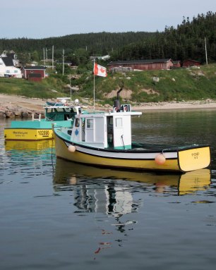 Boats in White Point